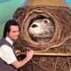 Illustration for article titled Kidding Is a Tedious Meditation on Being and Puppet-ness